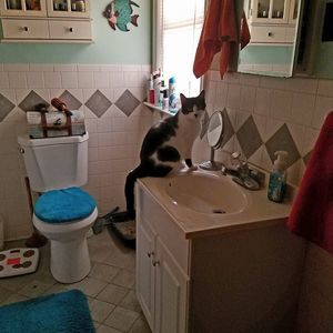 Meet your Posher, Laurie